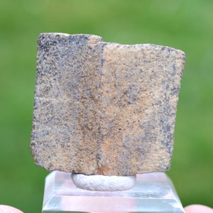 Staurolite 50 grams - Coray, Châteaulin, Finistère, Brittany, France