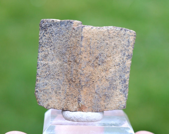 Staurolite 50 grams - Coray, Châteaulin, Finistère, Brittany, France
