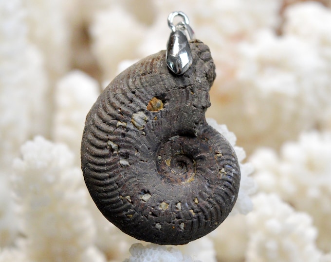 Ammonite 69 carats - Fossil pendant - Mende, Lozère, France / FI67