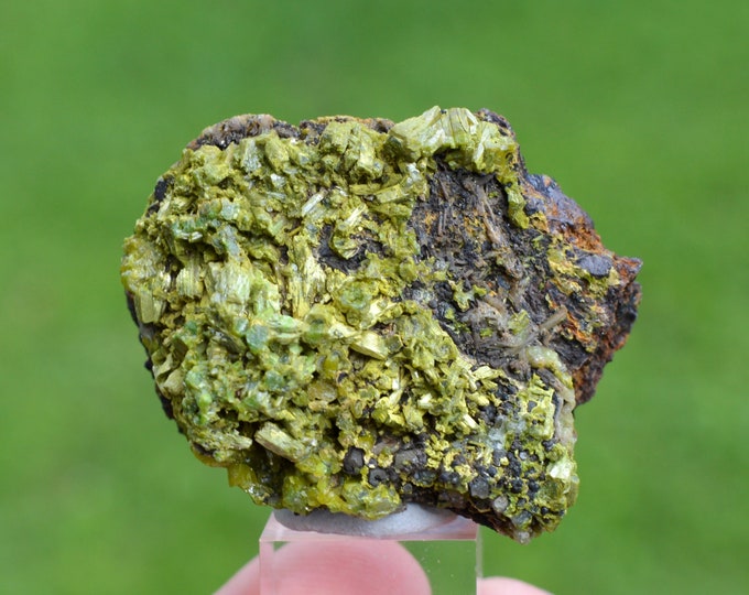 Pyromorphite 84 grams - Vézis, Le Bas Ségala, Villefranche-de-Rouergue, Aveyron, Occitanie, France