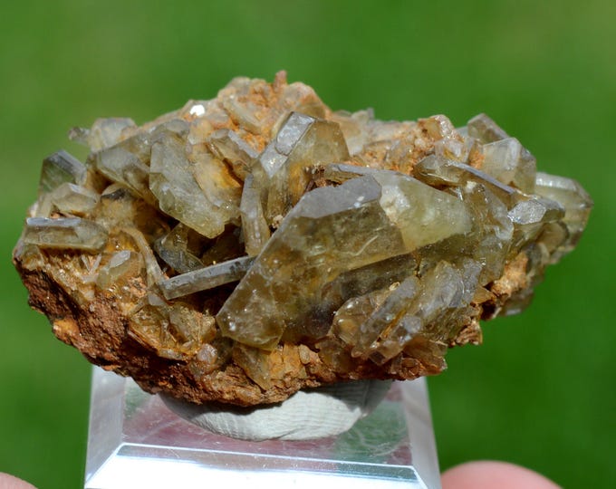 Baryte 54 grams - Saint-Georges-les-Bains, Tournon-sur-Rhône, Ardèche, Auvergne-Rhône-Alpes, France