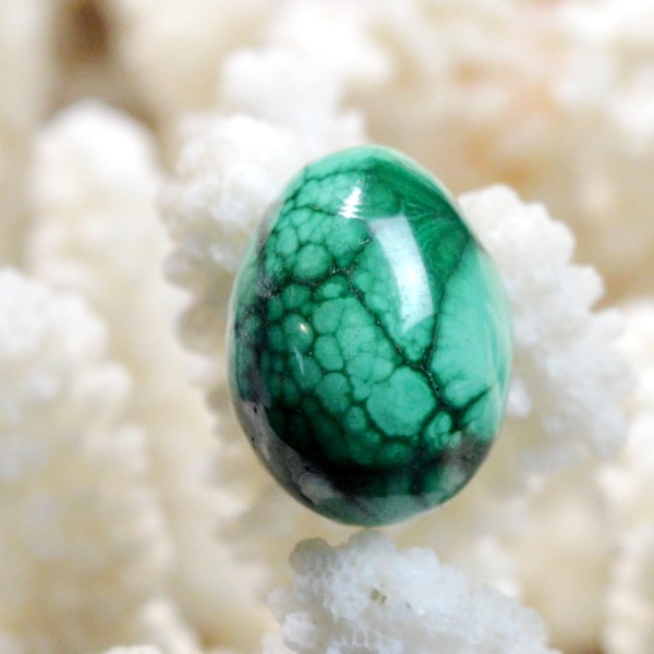 Oeuf - Malachite - 13 grammes - Congo