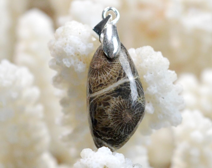 14 carat fossil coral - natural stone cabochon pendant - Indonesia /FQ45