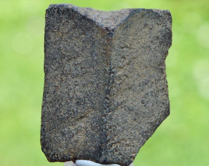 Staurolite 43 grams - Coray, Châteaulin, Finistère, Brittany, France