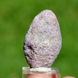 Könnte beinhalten: Ein natürlicher, oval geformter Stein mit rauer, strukturierter Oberfläche. Der Stein zeigt eine Mischung aus violetten, grauen und rosa Farbtönen. Er ist auf einem transparenten, rechteckigen Sockel vor einem verschwommenen grünen Hintergrund montiert. Der Stein scheint ein Mineralexemplar zu sein.