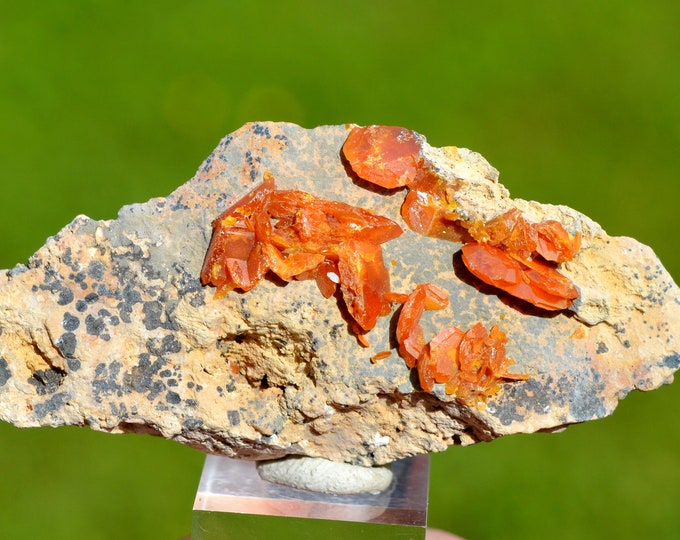 Wulfenite 22 grams - Erupción Mine, Los Lamentos Mts, Ahumada Municipality, Chihuahua, Mexico