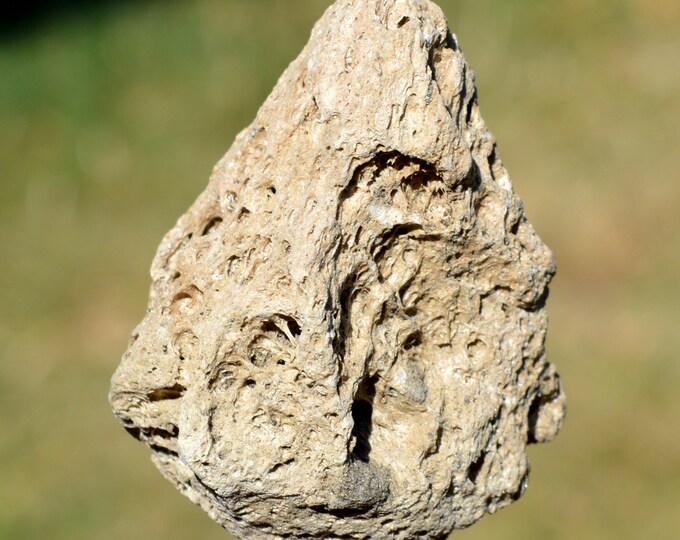 Pumice stone 17 grams - Rochefort-Montagne, Issoire, Puy-de-Dôme, Auvergne-Rhône-Alpes, France