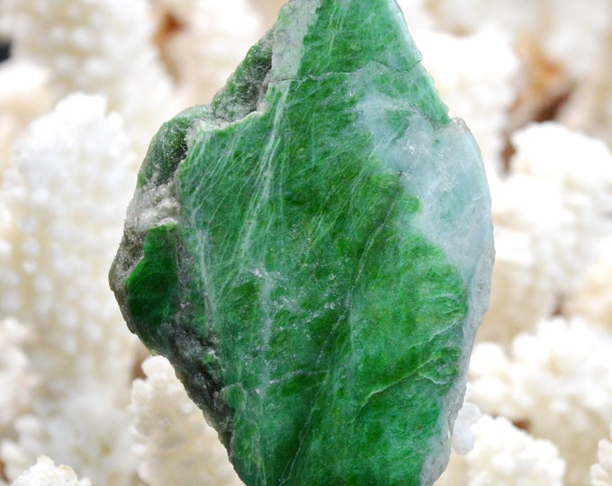Slice - Jade Omphacite var. omphacite chrome 35 grams - Pellice Valley, Metropolitan City of Turin, Piedmont, Italy