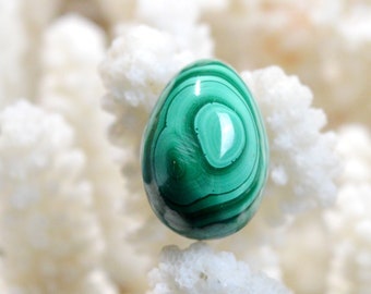 Oeuf - Malachite - 10 grammes - Congo