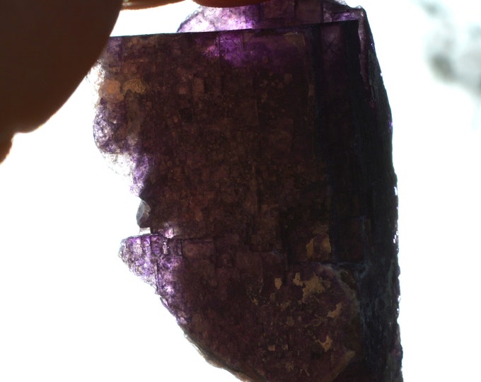 Fluorite 55 grams - Melchor Múzquiz, Múzquiz Municipality, Coahuila, Mexico