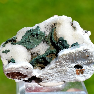 Malachite & Quartz 60 grams - Tantara Mine, Shinkolobwe, Kambove Territory, Haut-Katanga, DR Congo