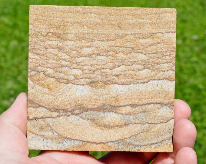 Slice - Sandstone 176 grams - Warren County, Pennsylvania, USA