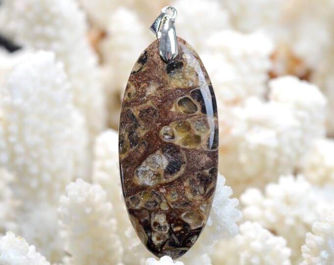 Turritella Agate 57 carats - natural stone cabochon pendant - USA / EP53