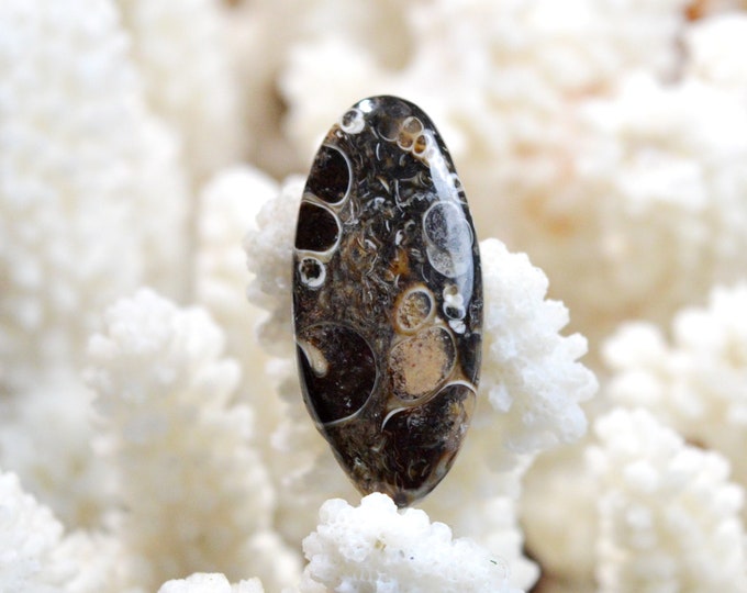 Turitella agate 23 carats - natural stone cabochon pendant - USA / EF4