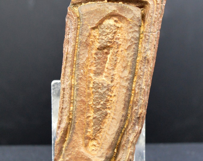Tsesite 191 grams - Sahara, Algeria