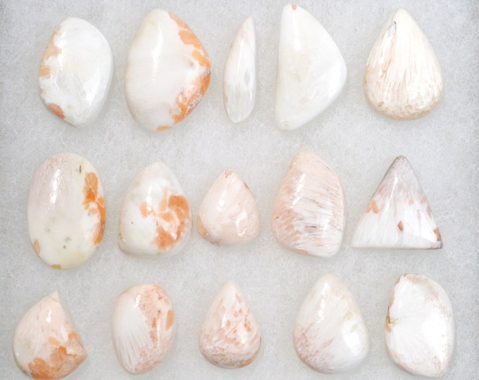 Lot 15x Orange Scolecite - 262 carats - natural stone cabochon - India // BU68