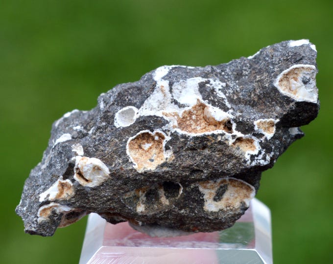Gonnardite 31 grams - Bergonne Lime, Gignat, Issoire, Puy-de-Dôme, Auvergne-Rhône-Alpes, France