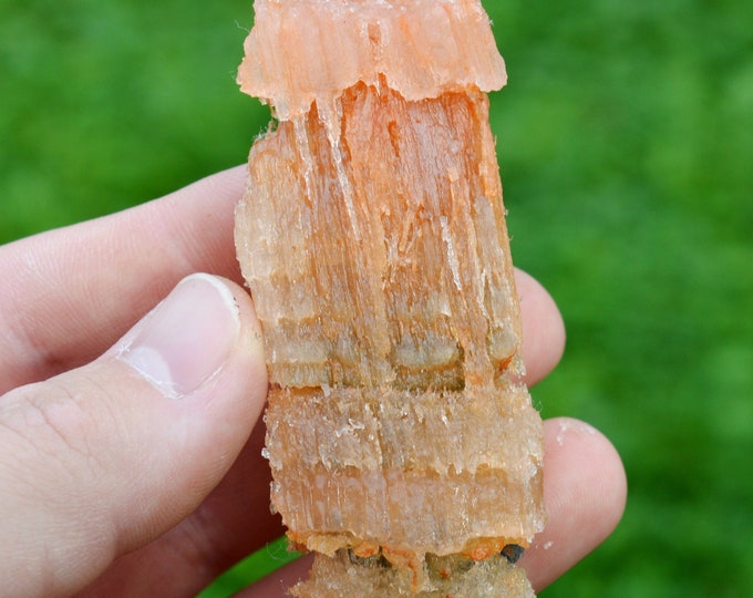 Halite & Sylvinite 62 grams - Wittelsheim, Mulhouse, Haut-Rhin, Alsace, France