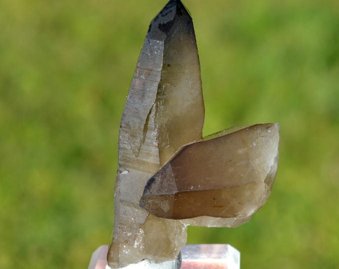 Smoky Quartz 69 grams - Erongo Mountains, Karibib, Erongo Region, Namibia