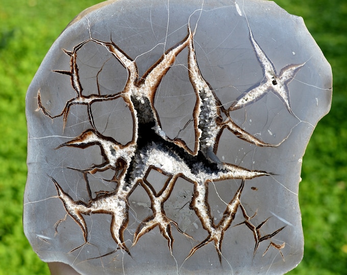 Septaria & Calcite 2790 grams - Crêt Chalam, Chézery-Forens, Arrondissement of Gex, Department of Ain, Auvergne-Rhône-Alpes, France