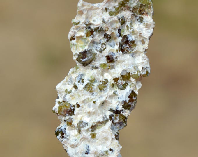 Garnet var. Andradite 14 grams - Dognecea mine, Dognecea, Caraş-Severin County, Romania