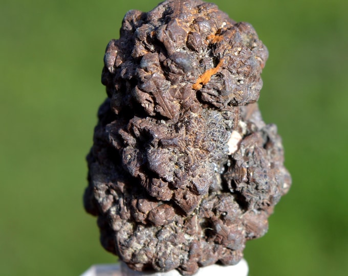 Marcasite and/or Pyrite 74 grams - Cap Blanc-Nez, Escalles, Calais, Pas-de-Calais, Hauts-de-France, France