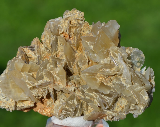 Gypsum 582 grams - Saint-Pardoux-la-Rivière, Nontron, Dordogne, New Aquitaine, France