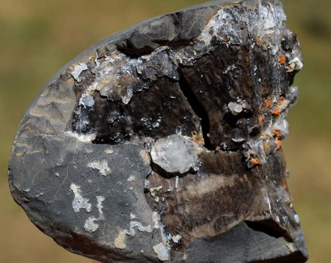 Septaria & "Diamond Quartz" 306 grams - Saint Aubert ravine septaria occurrence, Ribiers, Gap, Hautes-Alpes, France