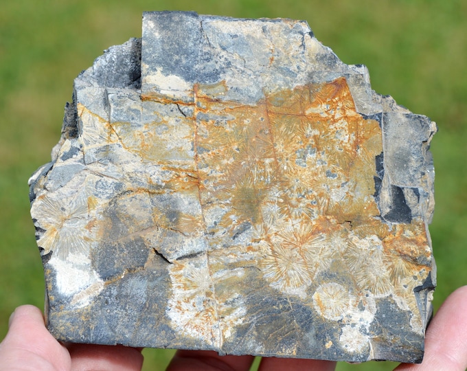 Crandallite 537 grams - Mont-des-Groseillers, Blaton, Bernissart, Hainaut, Wallonia, Belgium