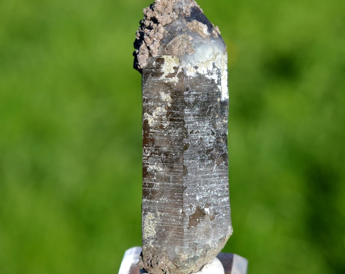 Smoky quartz 52 grams - Minstigertal (Münstigertal), Münster, Goms, Valais, Switzerland