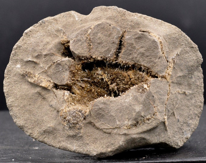 Septaria & Baryte - 520 grams - Gumiane, Die, Drôme, Auvergne-Rhône-Alpes, France