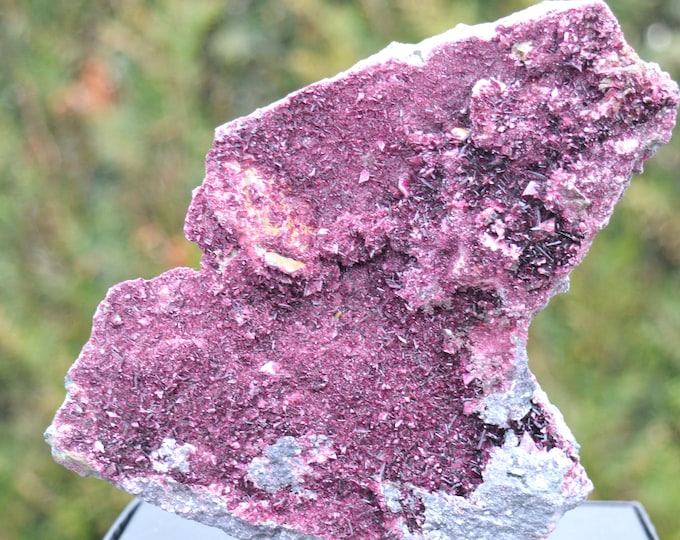 Erythrite 888 grams - Bou Azzer mining district, Drâa-Tafilalet Region, Morocco