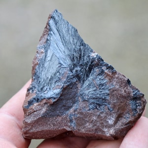May include: A close-up of a dark gray rock with a black, feathery mineral formation. The rock is a reddish-brown color and has a rough texture.