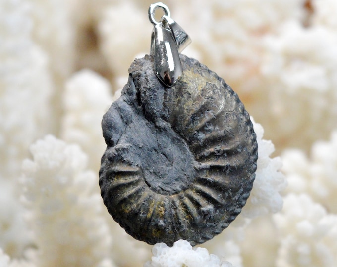 48 Carat Ammonite - Fossil Pendant - Mende, Lozère, France / FI70