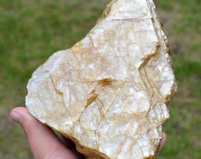 Gypsum 2490 grams - Coubron, Le Raincy, Seine-Saint-Denis, Ile-de-France, France