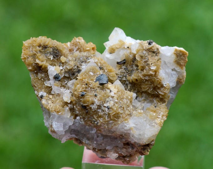 Siderite Chalcopyrite Quartz 78 grams - Le Burg Mine (Le Burc Mine), Paulinet, Albi, Tarn, Occitanie, France