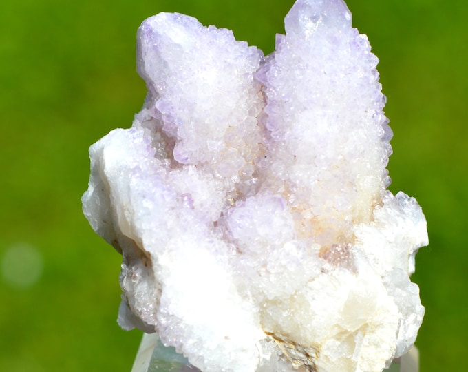 Cactus Amethyst 88 grams - Boekenhoutshoek area, Mkobola, Nkangala District, Mpumalanga, South Africa