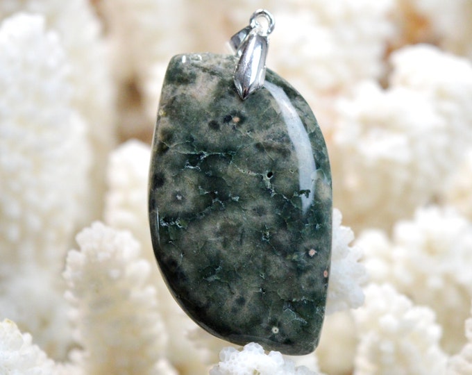 Ocean Jasper 66 carats - natural stone cabochon - Madagascar / FE87