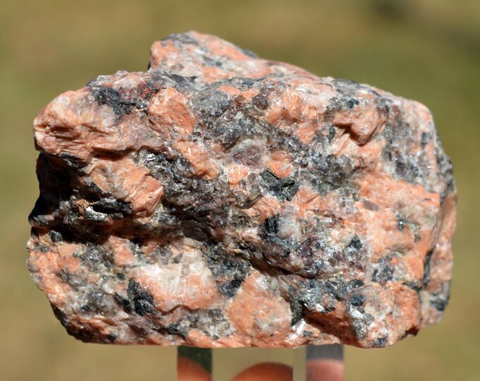 Granite 192 grams - La Clarté, Perros-Guirec, Lannion, Côtes-d'Armor, Brittany, France