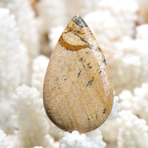 Jaspe Paysage 48 carats - cabochon pierre naturelle - Namibie / EQ11