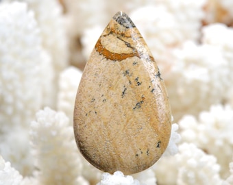 Landschapsjaspis 48 karaat - natuurstenen cabochon - Namibië / EQ11