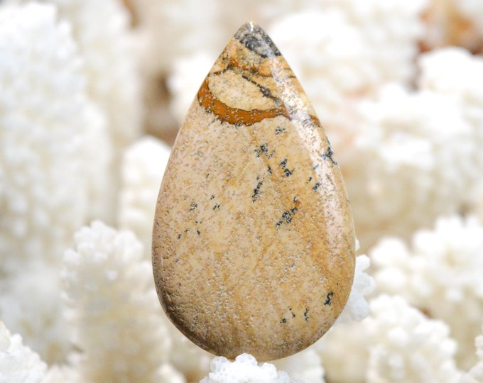 Landscape Jasper 48 carats - natural stone cabochon - Namibia / EQ11