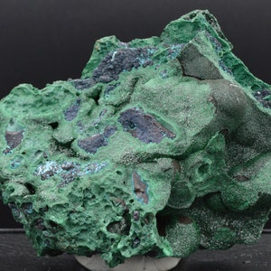 Botryoidal Malachite and Chrysocolla - 253 grams - Katanga, Congo