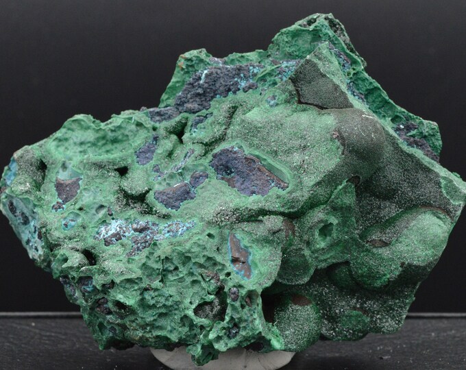 Botryoidal Malachite and Chrysocolla - 253 grams - Katanga, Congo