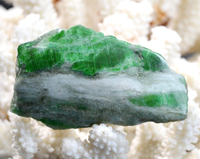 Slice - Jade Omphacite var. omphacite chrome 65 grams - Pellice Valley, Metropolitan City of Turin, Piedmont, Italy