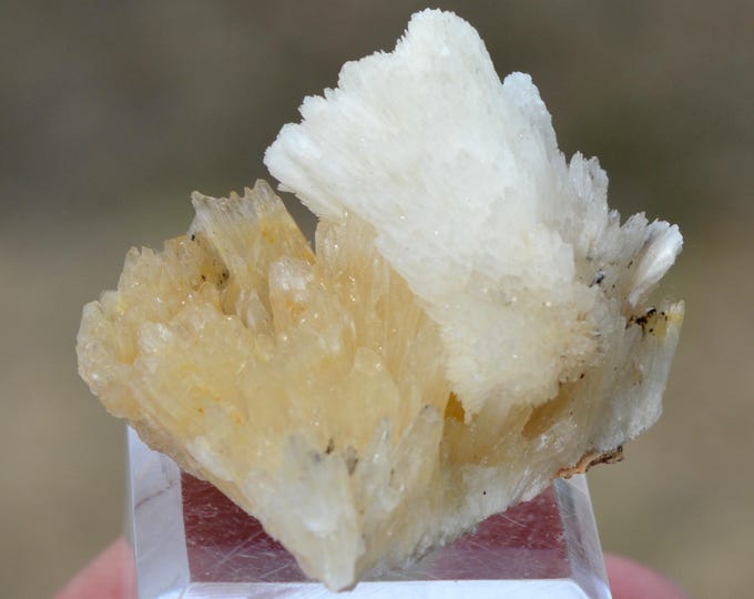 Aragonite 22 grams - Profunda Mine, Cármenes, León, Castile and Leon, Spain