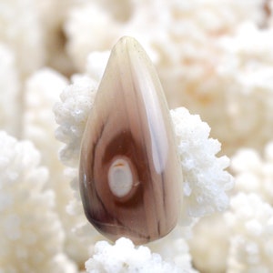 Jaspe Impérial 23 carats - cabochon pierre naturelle - Mexique // CU94