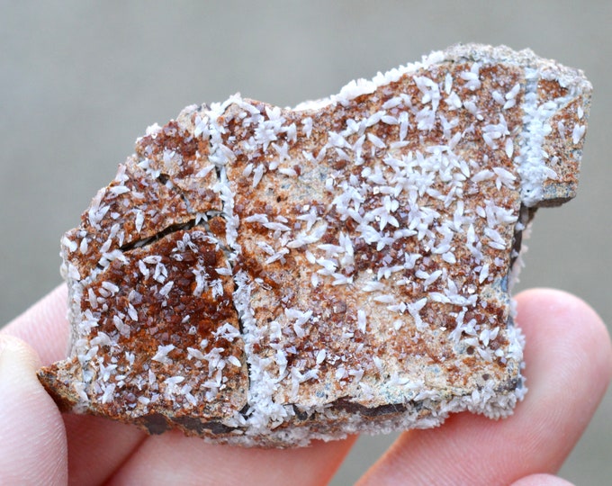 Garnet var. Almandine & Calcite 81 grams - N'Chwaning II Mine, Kuruman, Kalahari manganese field, Northern Cape, South Africa