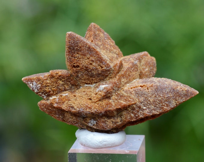 Calcite pseudomorph after ikaite var. Glendonite - 26 grams - Kola Peninsula, Murmansk Oblast, Russia