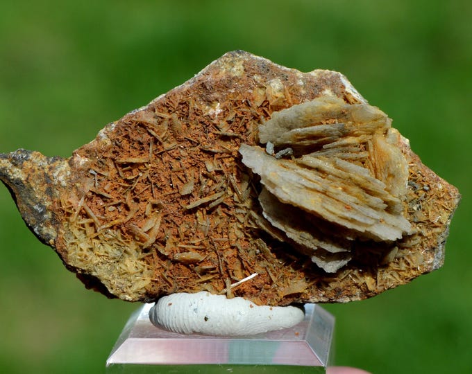 Baryte 50 grams - Usclas-du-Bosc quarry (Loiras quarry), Usclas-du-Bosc, Lodève, Hérault, Occitanie, France